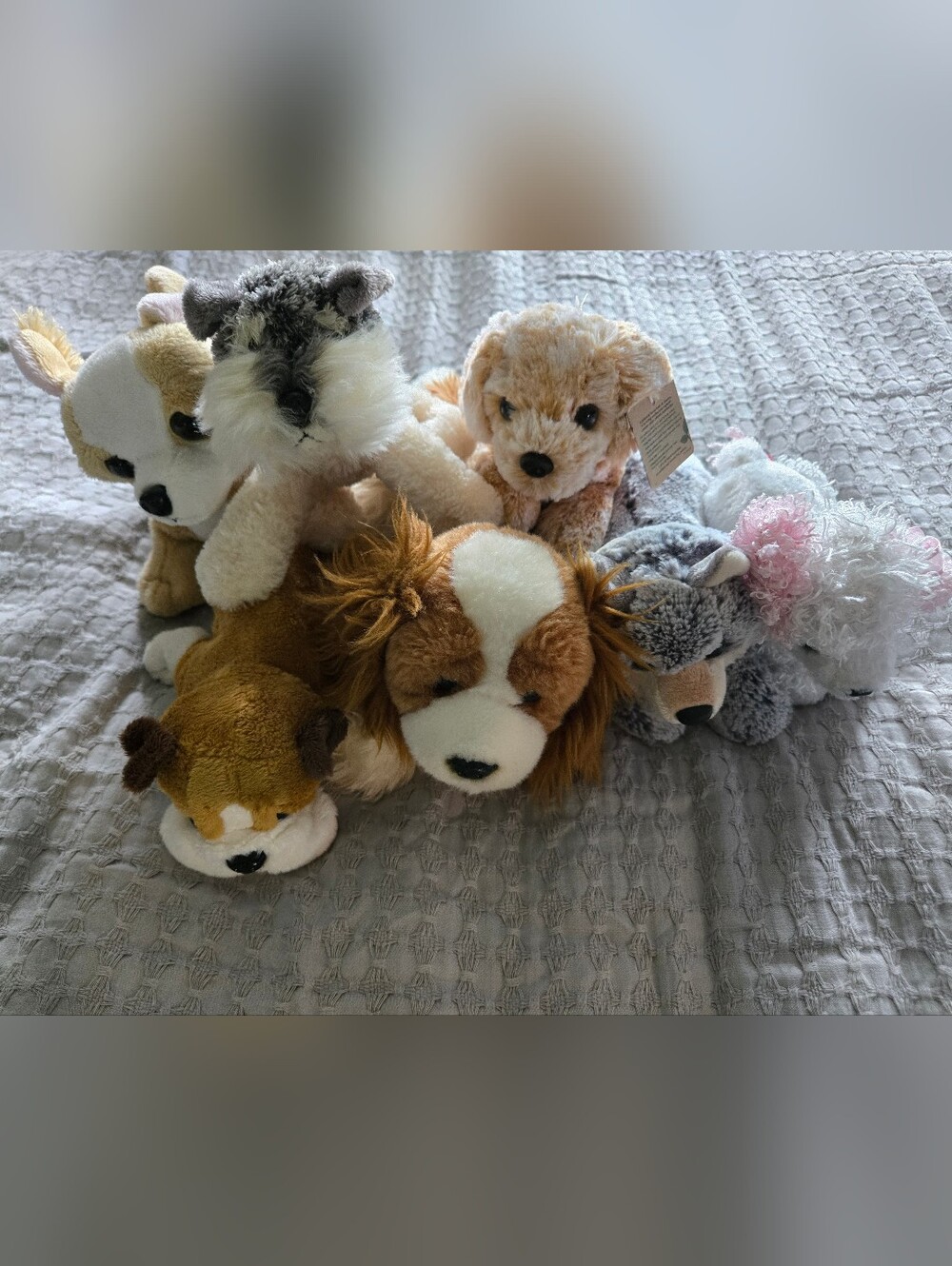 7 Lot! 🐶Aurora & Other Plush Puppy & Dog Stuffed Animal Lot